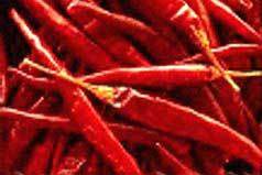 Manufacturers Exporters and Wholesale Suppliers of Red Chili Indore Madhya Pradesh